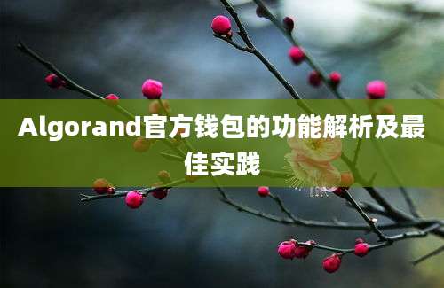 Algorand官方钱包的功能解析及最佳实践