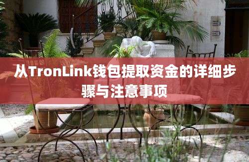 从TronLink钱包提取资金的详细步骤与注意事项