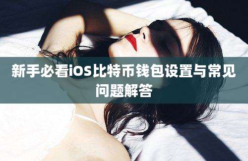 新手必看iOS比特币钱包设置与常见问题解答