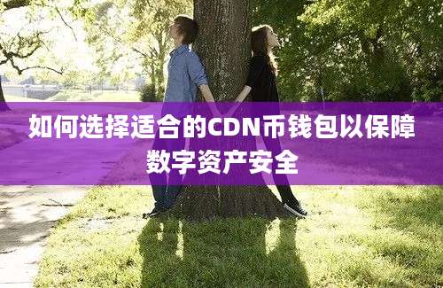 如何选择适合的CDN币钱包以保障数字资产安全