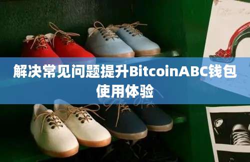 解决常见问题提升BitcoinABC钱包使用体验