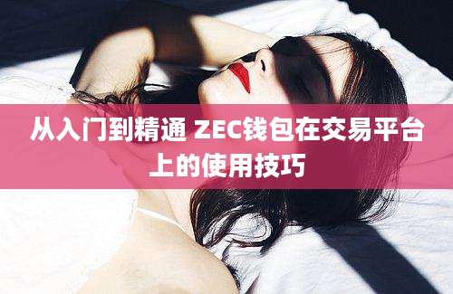 从入门到精通 ZEC钱包在交易平台上的使用技巧