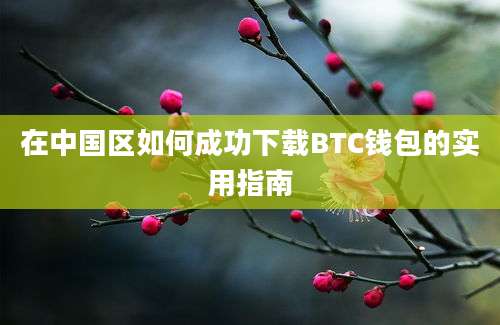 在中国区如何成功下载BTC钱包的实用指南