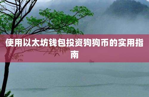 使用以太坊钱包投资狗狗币的实用指南