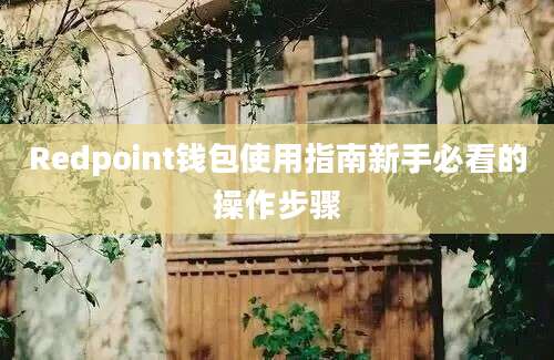 Redpoint钱包使用指南新手必看的操作步骤