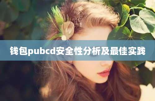 钱包pubcd安全性分析及最佳实践