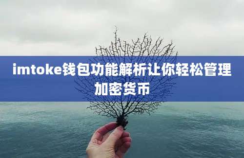 imtoke钱包功能解析让你轻松管理加密货币