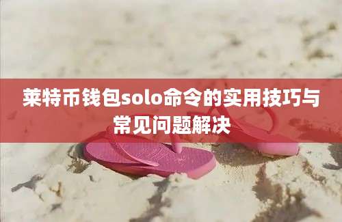 莱特币钱包solo命令的实用技巧与常见问题解决