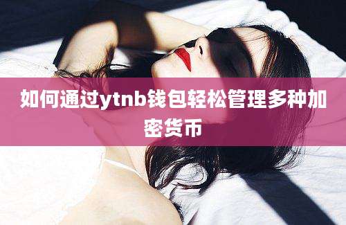 如何通过ytnb钱包轻松管理多种加密货币