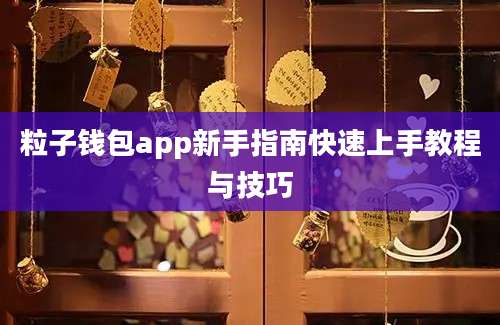 粒子钱包app新手指南快速上手教程与技巧