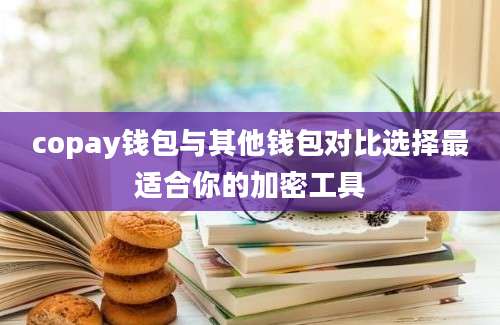 copay钱包与其他钱包对比选择最适合你的加密工具