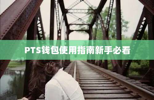 PTS钱包使用指南新手必看