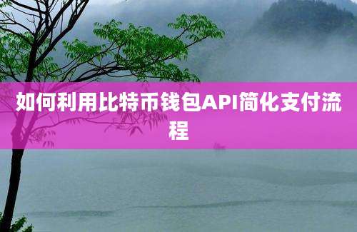 如何利用比特币钱包API简化支付流程