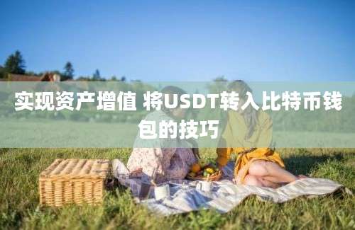 实现资产增值 将USDT转入比特币钱包的技巧