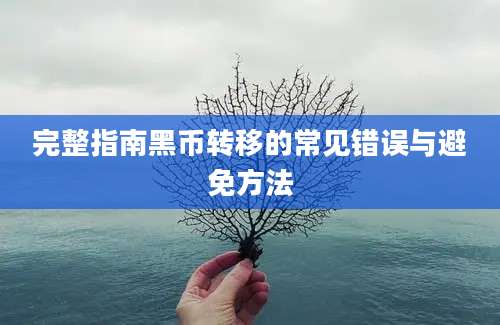 完整指南黑币转移的常见错误与避免方法