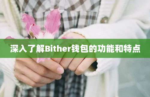 深入了解Bither钱包的功能和特点