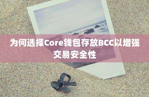 为何选择Core钱包存放BCC以增强交易安全性