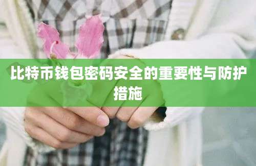 比特币钱包密码安全的重要性与防护措施