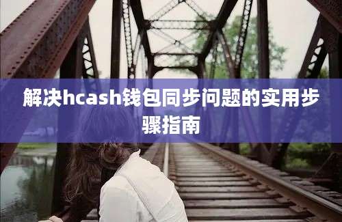 解决hcash钱包同步问题的实用步骤指南