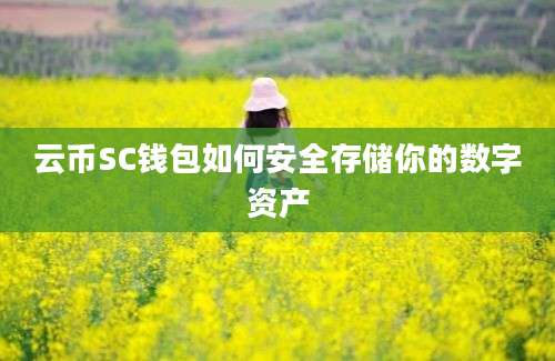 云币SC钱包如何安全存储你的数字资产