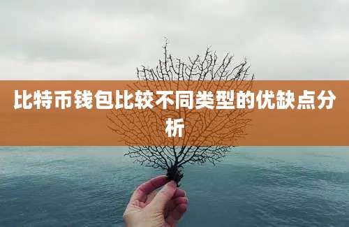 比特币钱包比较不同类型的优缺点分析