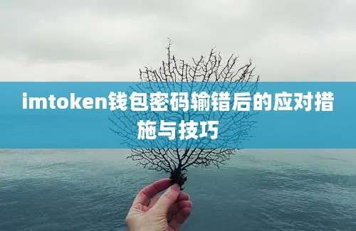 imtoken钱包密码输错后的应对措施与技巧