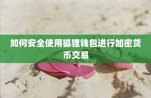 如何安全使用狐狸钱包进行加密货币交易