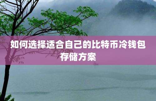 如何选择适合自己的比特币冷钱包存储方案