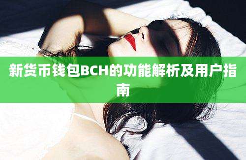 新货币钱包BCH的功能解析及用户指南