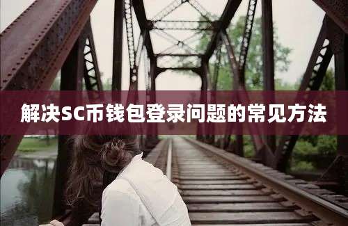 解决SC币钱包登录问题的常见方法