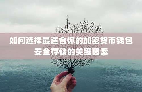 如何选择最适合你的加密货币钱包安全存储的关键因素