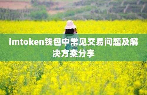 imtoken钱包中常见交易问题及解决方案分享