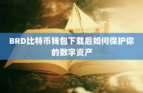 BRD比特币钱包下载后如何保护你的数字资产