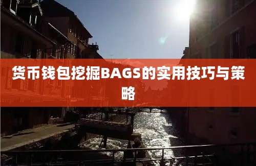 货币钱包挖掘BAGS的实用技巧与策略