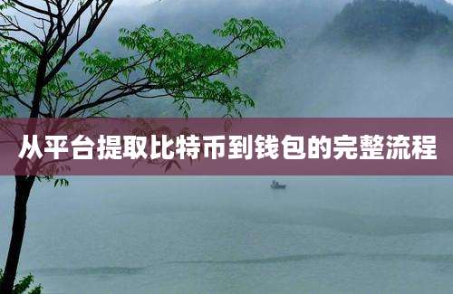 从平台提取比特币到钱包的完整流程