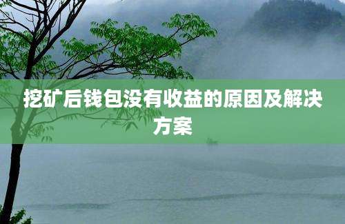 挖矿后钱包没有收益的原因及解决方案