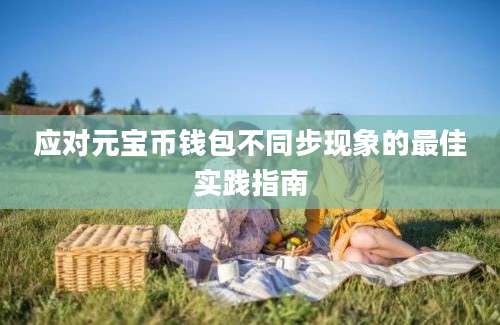 应对元宝币钱包不同步现象的最佳实践指南