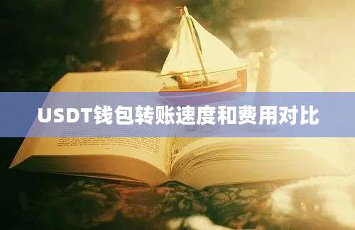 USDT钱包转账速度和费用对比