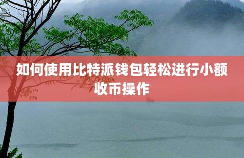 如何使用比特派钱包轻松进行小额收币操作