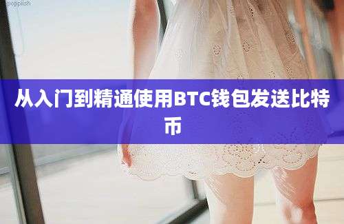 从入门到精通使用BTC钱包发送比特币