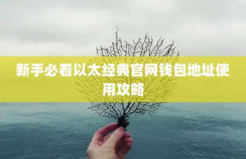 新手必看以太经典官网钱包地址使用攻略