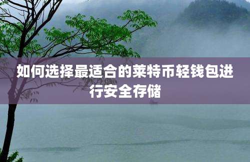 如何选择最适合的莱特币轻钱包进行安全存储