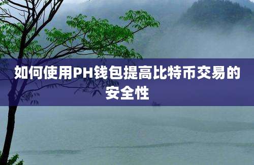 如何使用PH钱包提高比特币交易的安全性