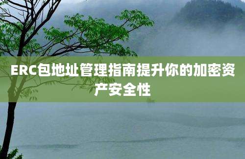 ERC包地址管理指南提升你的加密资产安全性