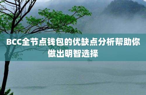 BCC全节点钱包的优缺点分析帮助你做出明智选择