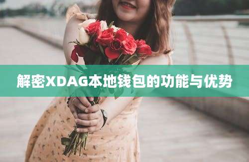 解密XDAG本地钱包的功能与优势