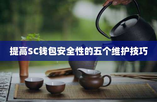 提高SC钱包安全性的五个维护技巧