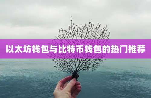 以太坊钱包与比特币钱包的热门推荐