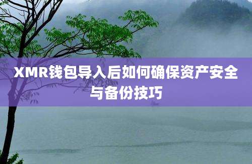 XMR钱包导入后如何确保资产安全与备份技巧