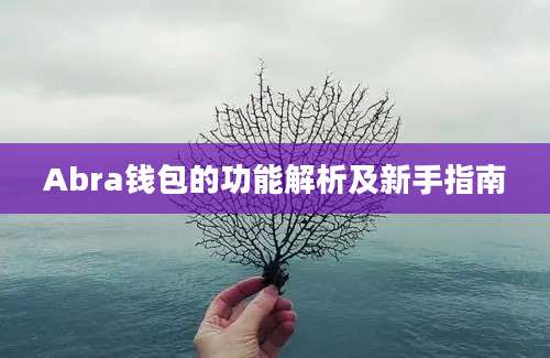 Abra钱包的功能解析及新手指南